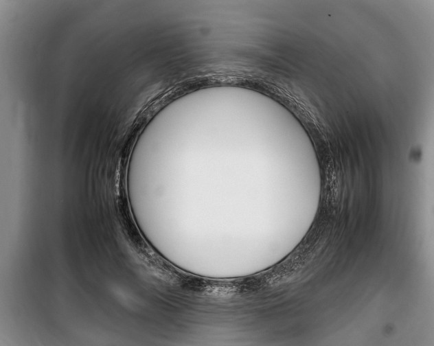 X0000100350694200806060801