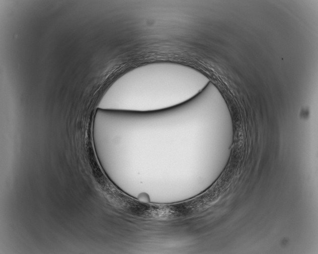 X0000100350695200806060801