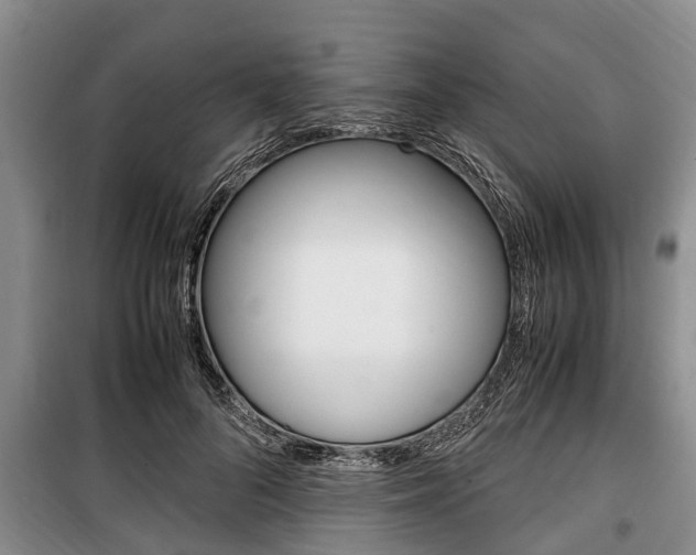 X0000100350696200806060801