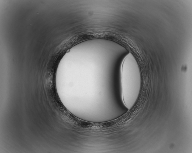 X0000100350697200806060801