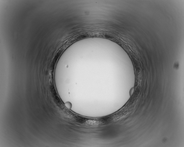X0000100350699200806060800