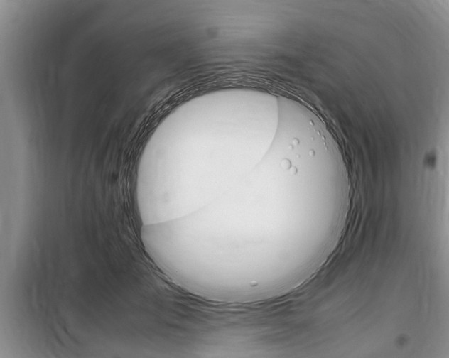 X0000100350701200806060800