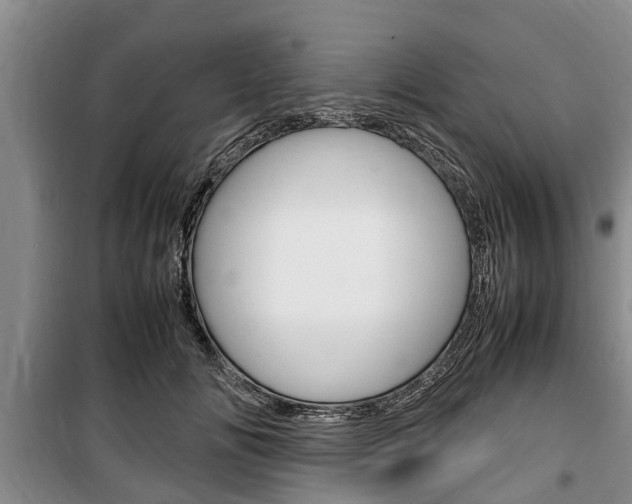 X0000100350702200806060800