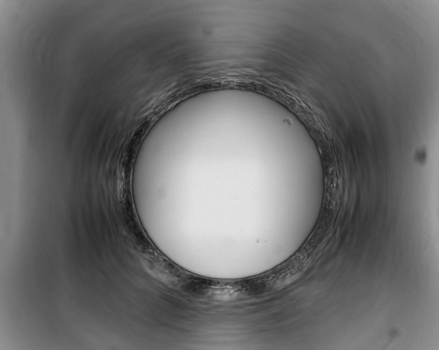 X0000100350704200806060800