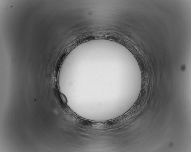 X0000100350707200806060800