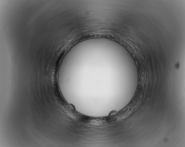X0000100350708200806060800