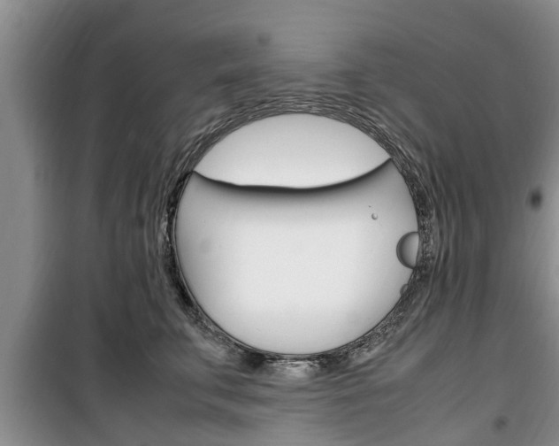 X0000100350711200806060800