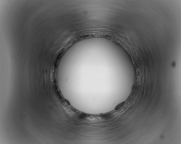 X0000100350712200806060800