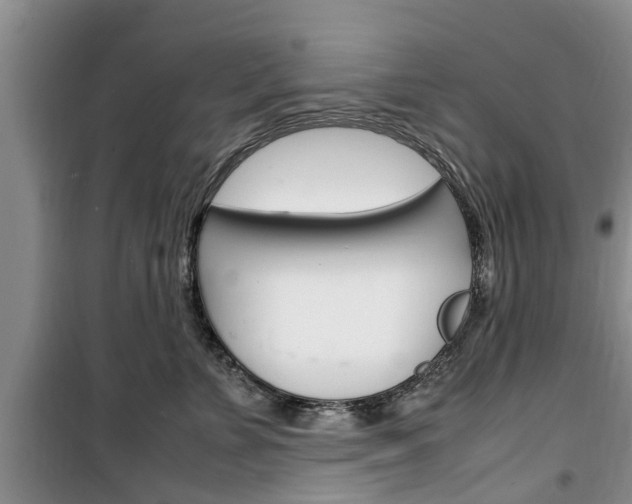 X0000100350715200806060800