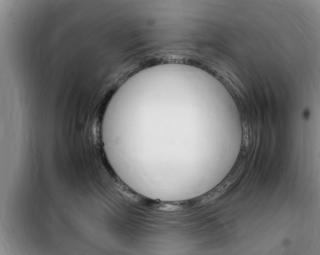 X0000100350718200806060800
