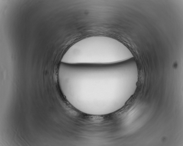 X0000100350719200806060800