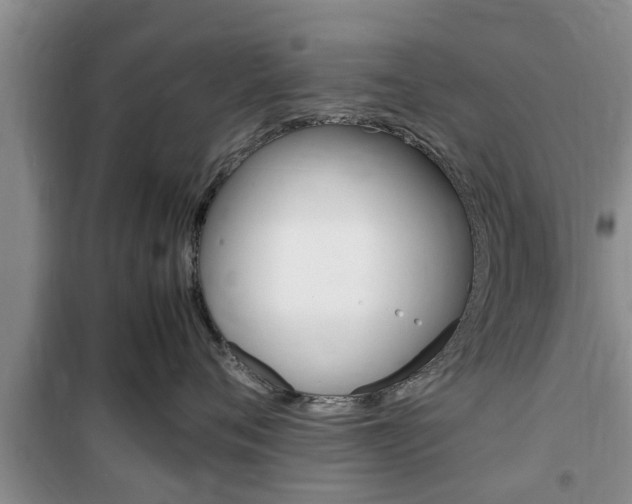 X0000100350720200806060800