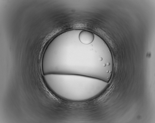 X0000100350721200806060800