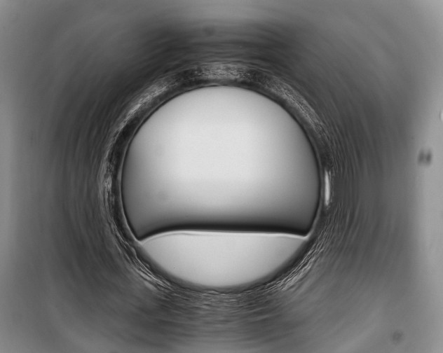 X0000100350723200806060800