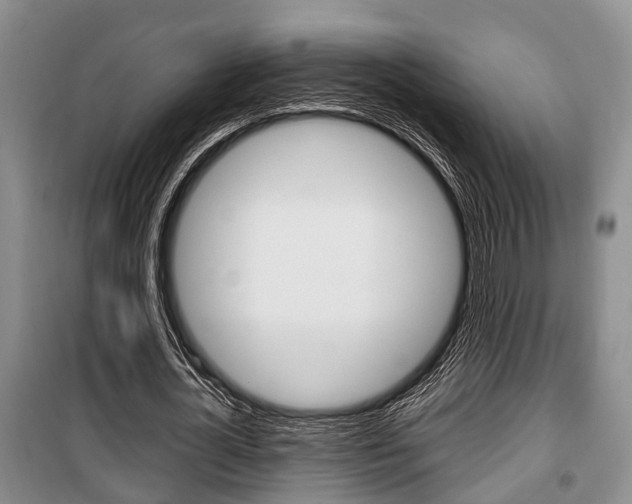 X0000100350724200806060800