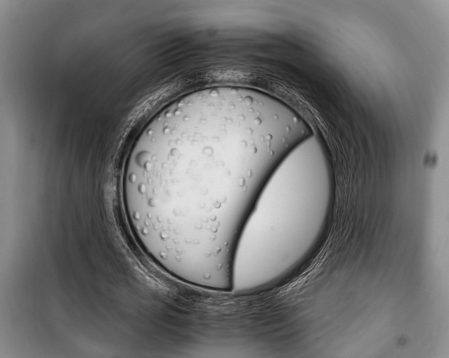 X0000100350725200806060800