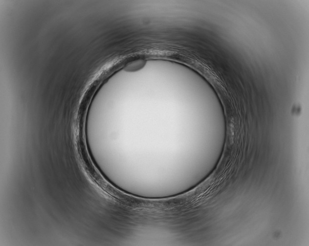 X0000100350726200806060800