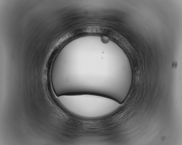 X0000100350727200806060800