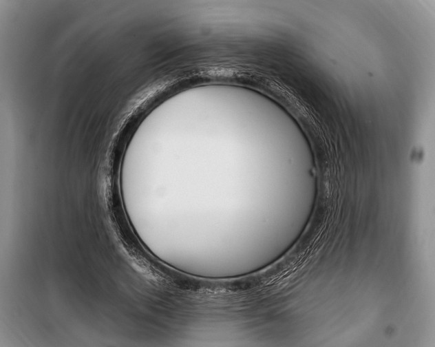 X0000100350728200806060800