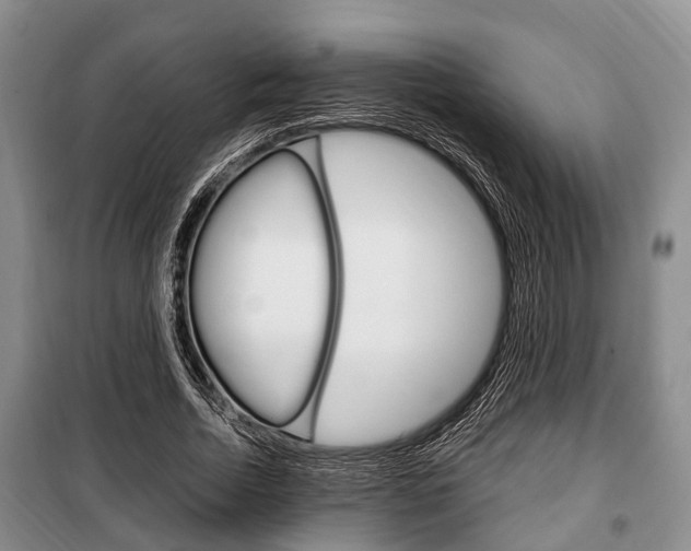 X0000100350730200806060800