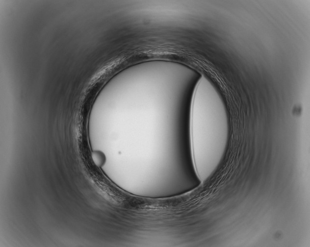 X0000100350732200806060800