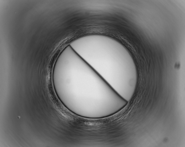 X0000100350733200806060800