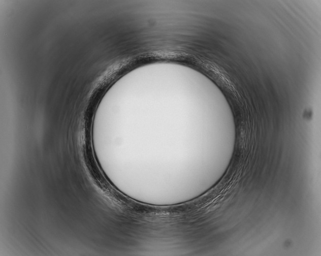 X0000100350734200806060800