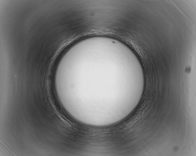 X0000100350736200806060800