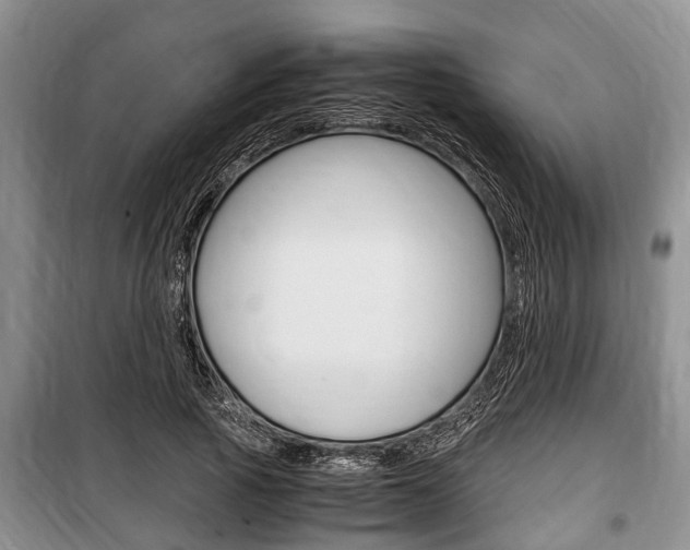X0000100350737200806060800