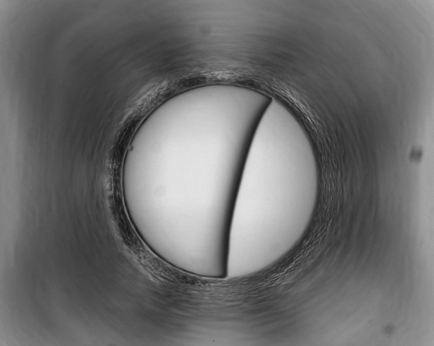X0000100350738200806060800