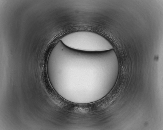 X0000100350739200806060800