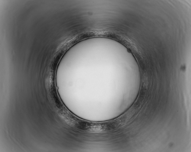 X0000100350740200806060800