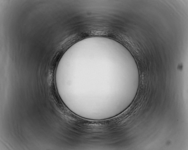 X0000100350741200806060800