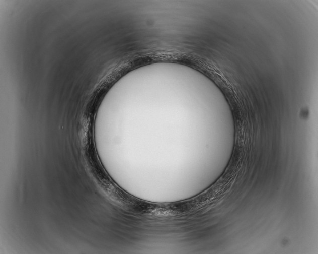 X0000100350742200806060800