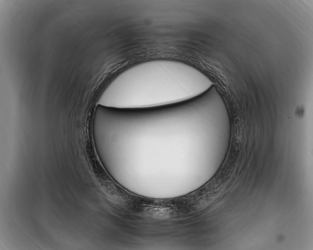 X0000100350743200806060800