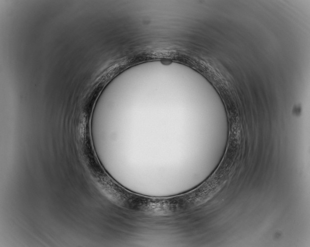 X0000100350744200806060800