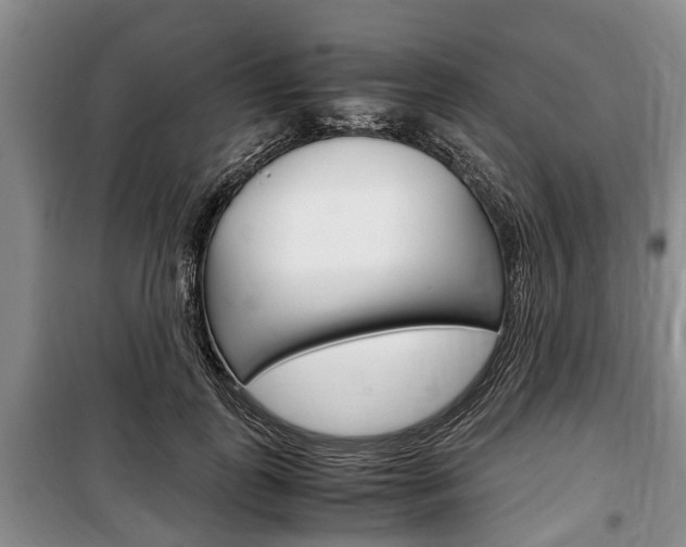 X0000100350747200806060800