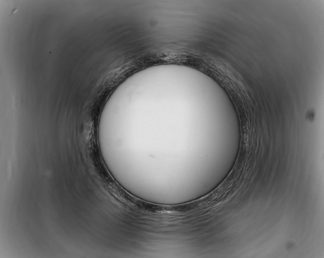 X0000100350748200806060800