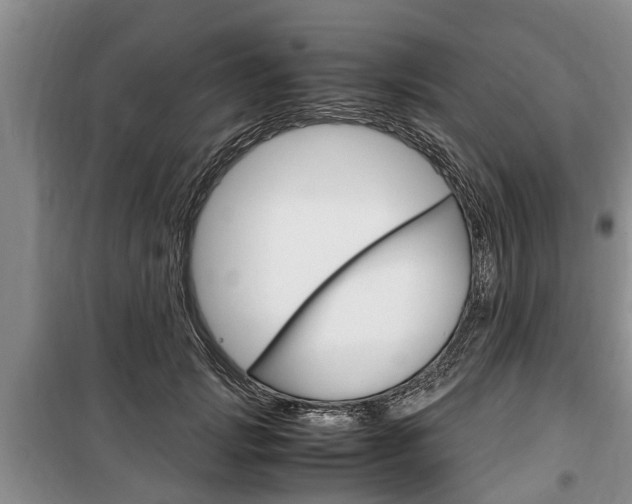 X0000100350749200806060800