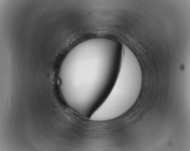 X0000100350750200806060800