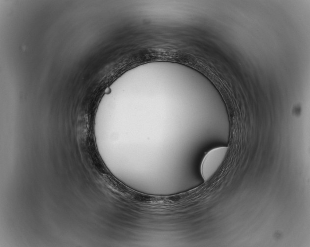 X0000100350752200806060800