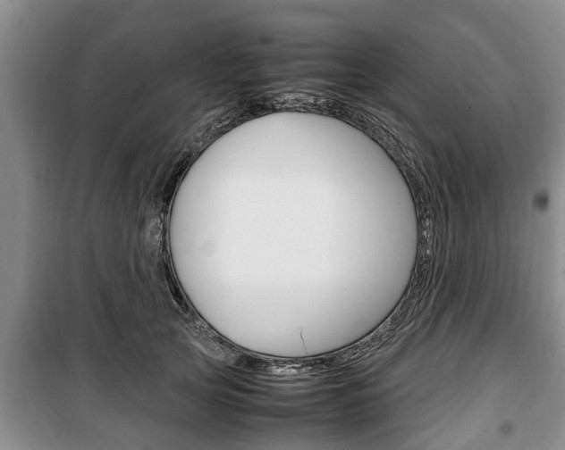 X0000100350753200806060800