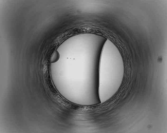 X0000100350754200806060800