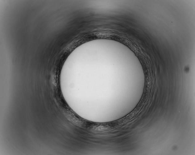 X0000100350755200806060800