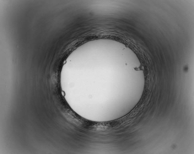 X0000100350756200806060800