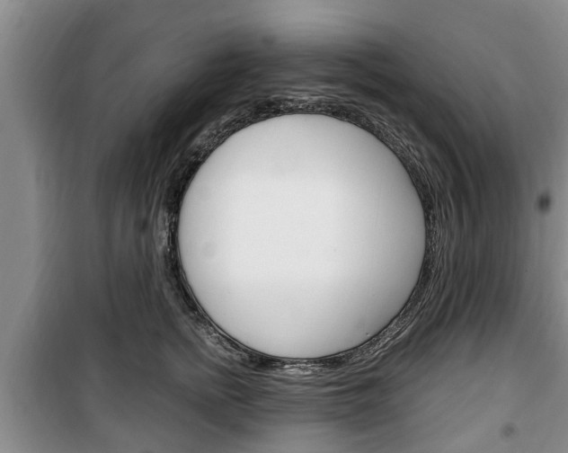 X0000100350758200806060800