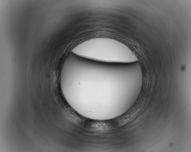 X0000100350759200806060800