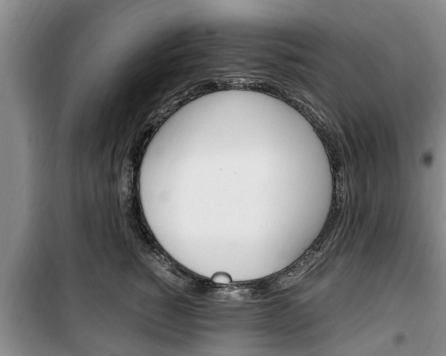 X0000100350760200806060800
