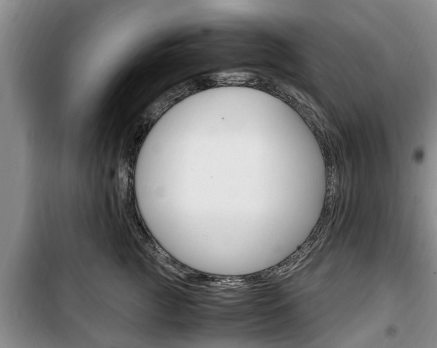 X0000100350761200806060800