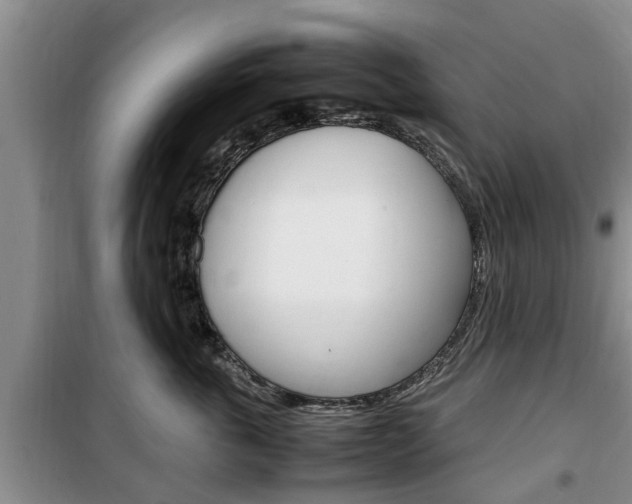 X0000100350763200806060800